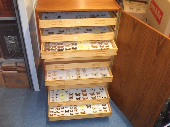 Product image 1 of 10