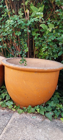 Product image 11 of 25