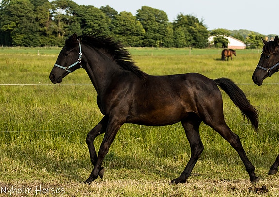 Product image 1 of 10