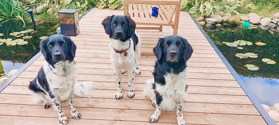 Product image 1 of 9