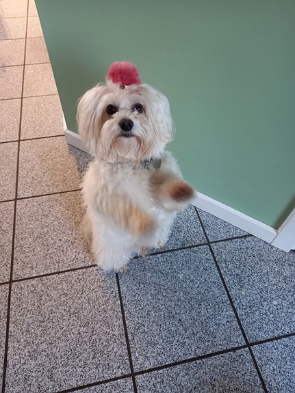 Product image 1 of 7