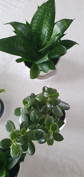 Product image 14 of 15