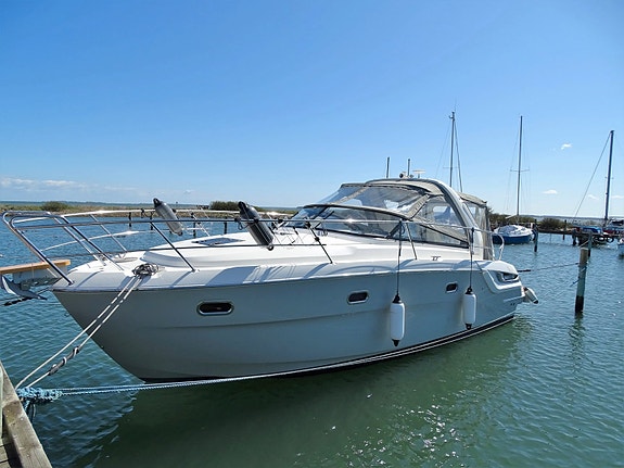 Bavaria Bavaria 31 Sport