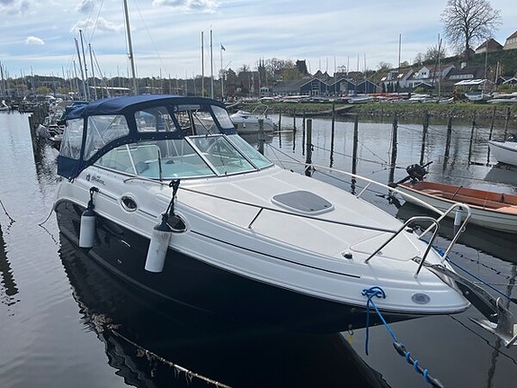 Sea-Ray 255 Sundanser ( Ligger i Roskilde )