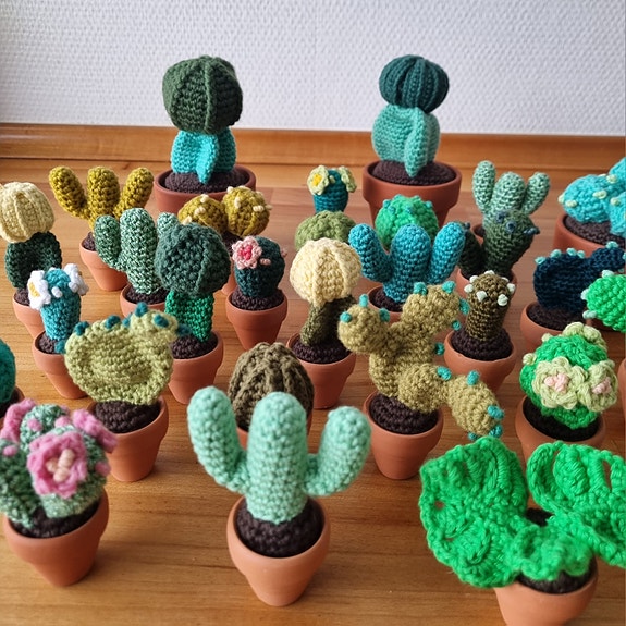 Product image 5 of 10