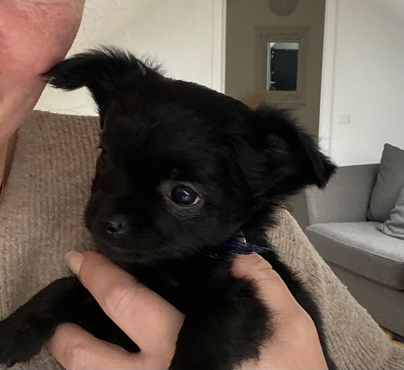 Product image 1 of 10