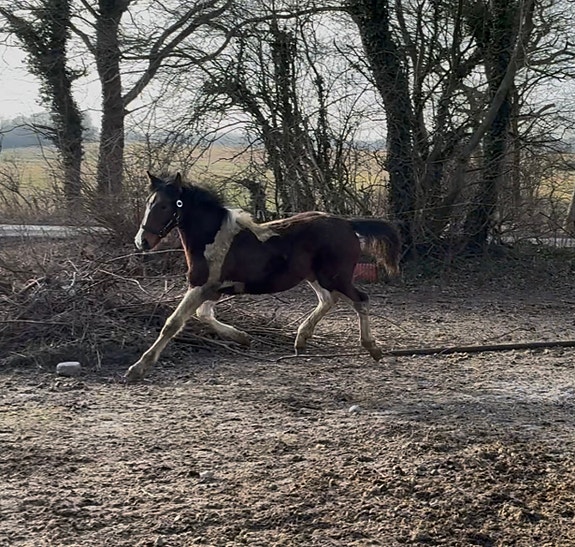 Product image 1 of 10