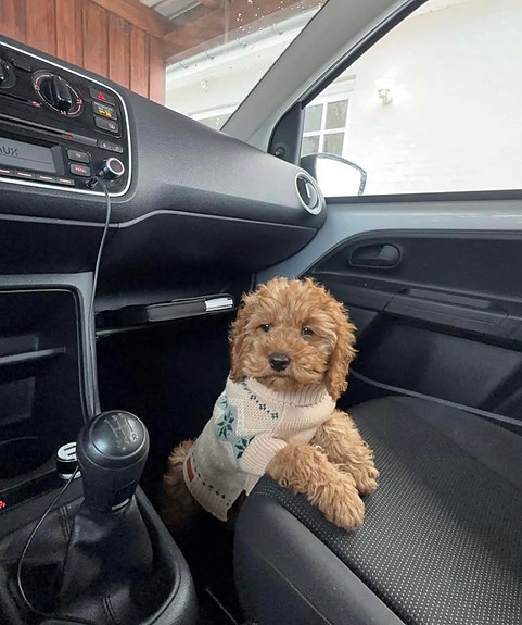 Product image 5 of 8