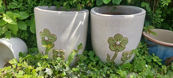Product image 24 of 25