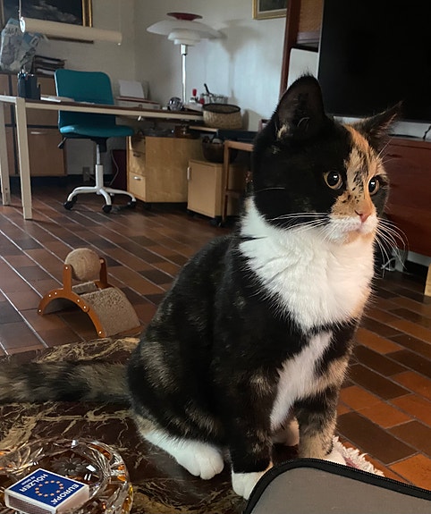 Product image 8 of 10