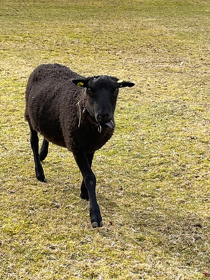 Product image 1 of 9