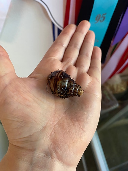 Product image 9 of 9