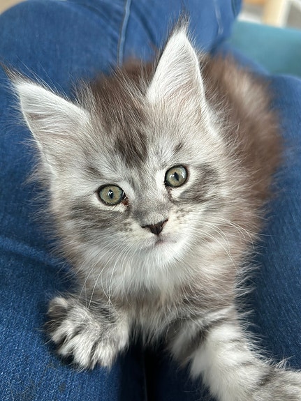 Product image 5 of 6