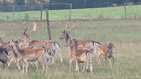 Product image 1 of 10