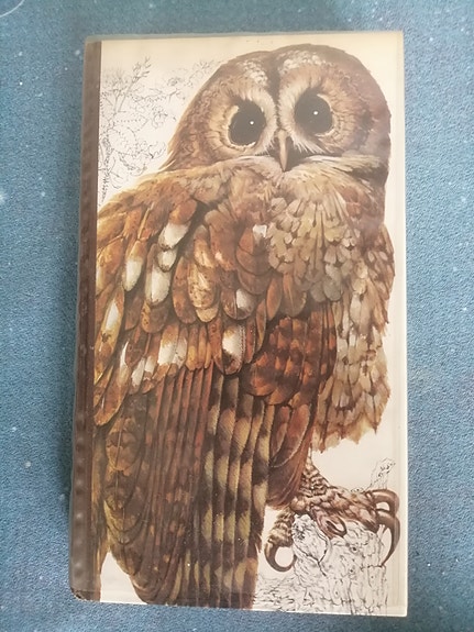 Product image 1 of 7