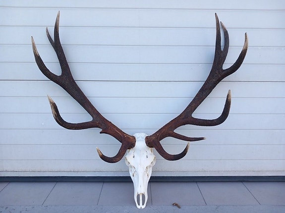 Product image 1 of 8