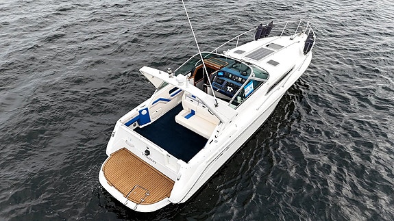 Sea Ray 290 Sundancer