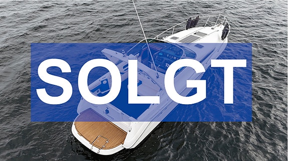 Sea Ray Sundancer