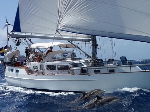 Feltz scorpion 3