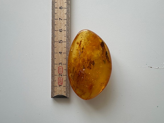 Product image 11 of 83