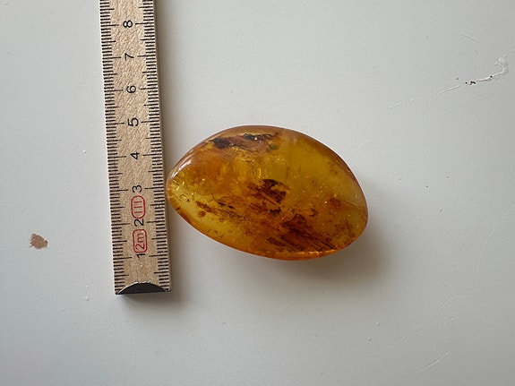 Product image 12 of 83