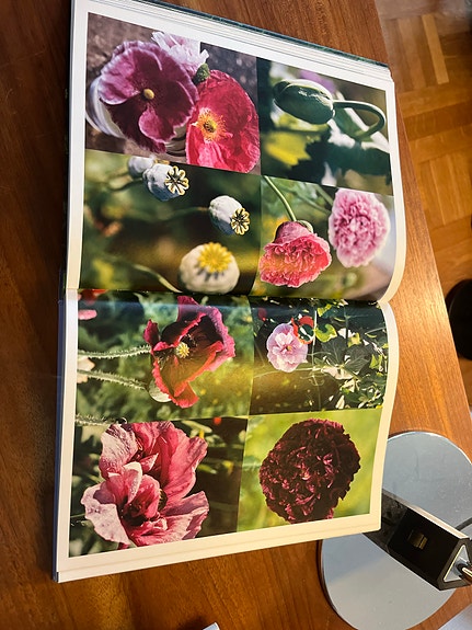 Product image 11 of 14