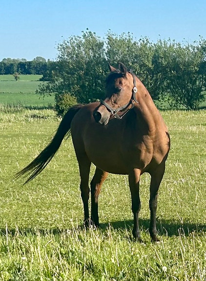 Product image 1 of 9