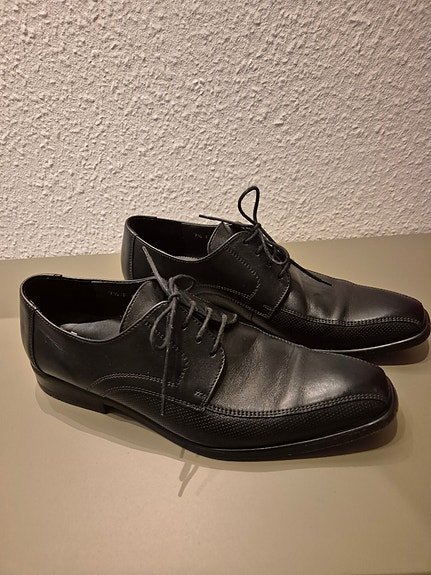 ⭐︎ デイジーク 特典 デイジーク新大久保フラッグシップ情報☆第2弾