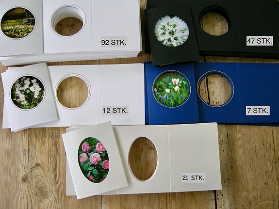 Product image 1 of 10