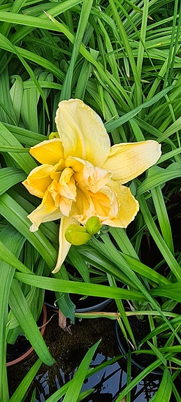Product image 14 of 18