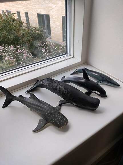 Product image 1 of 5