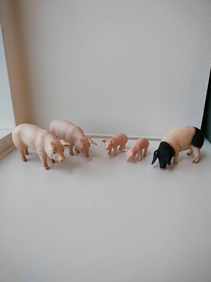 Product image 1 of 5