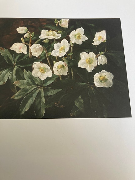 Product image 5 of 15