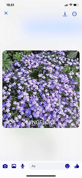 Product image 12 of 60