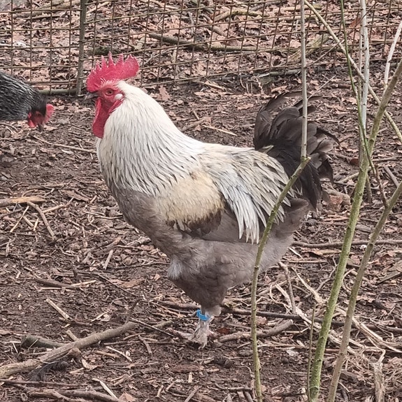 Product image 7 of 9