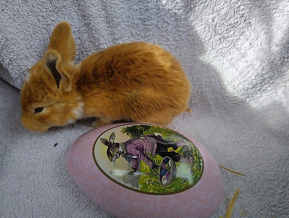 Product image 9 of 10