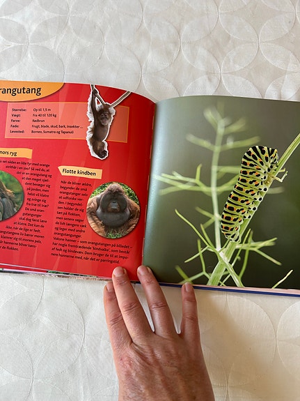 Product image 7 of 9