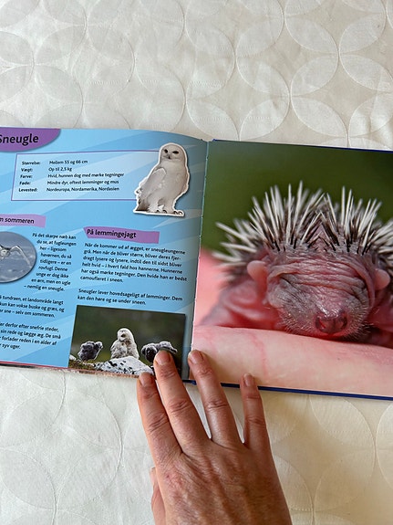 Product image 8 of 9