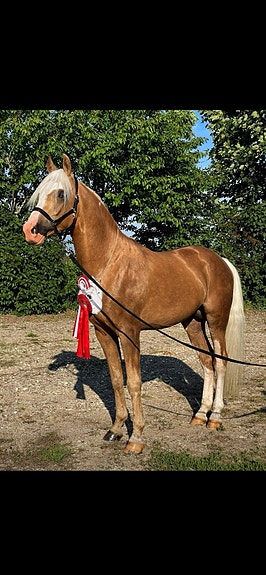 Product image 1 of 9