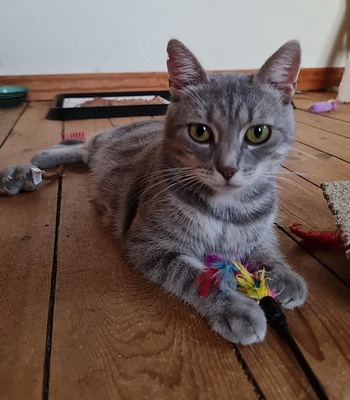 Product image 2 of 6