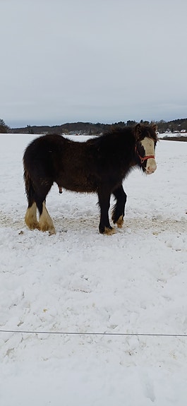 Product image 1 of 10