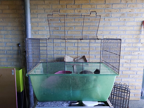 Product image 1 of 10