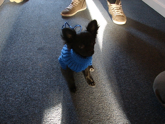 Product image 7 of 7