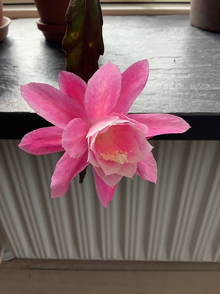 Product image 12 of 14