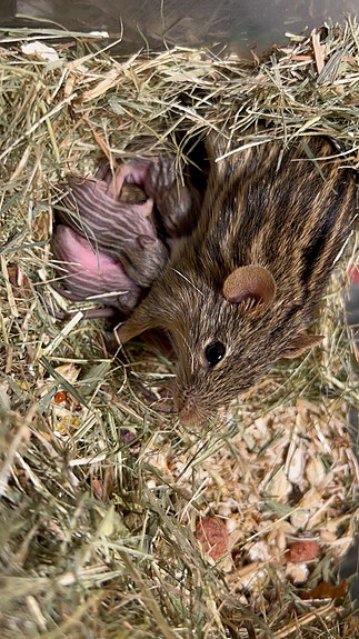 Product image 1 of 6