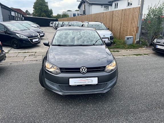 VW Polo