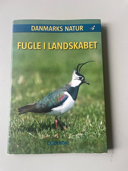 Product image 1 of 10