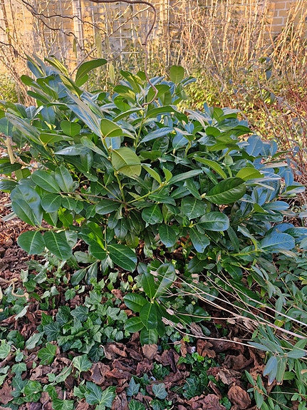 Product image 1 of 10