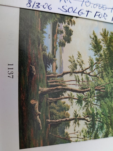 Product image 14 of 14
