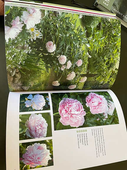 Product image 11 of 14